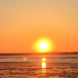 été couleur automne