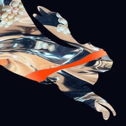 Your Data Is Funnier Than You: Echoes