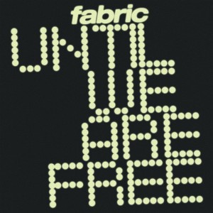 Until We Are Free - Fabric