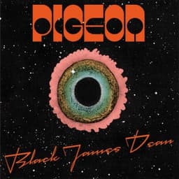 Black James Dean - Pigeon