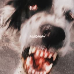 Bullshit - MADAM