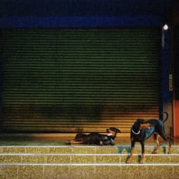 Knight In Shining Prada - Overmono & John Joseph Holt
