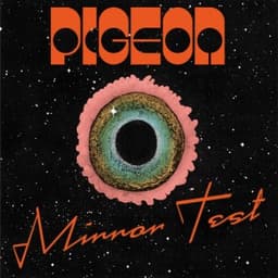 Mirror Test - Pigeon