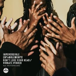 Don't Lose Your Head (ft. MOTHERBOARD) - Irreversible Entanglements & MOTHERBOARD